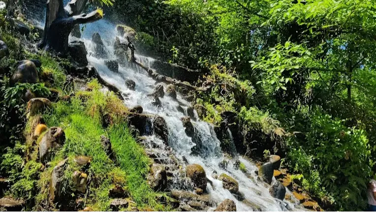 Atal Udhyan Mussoorie